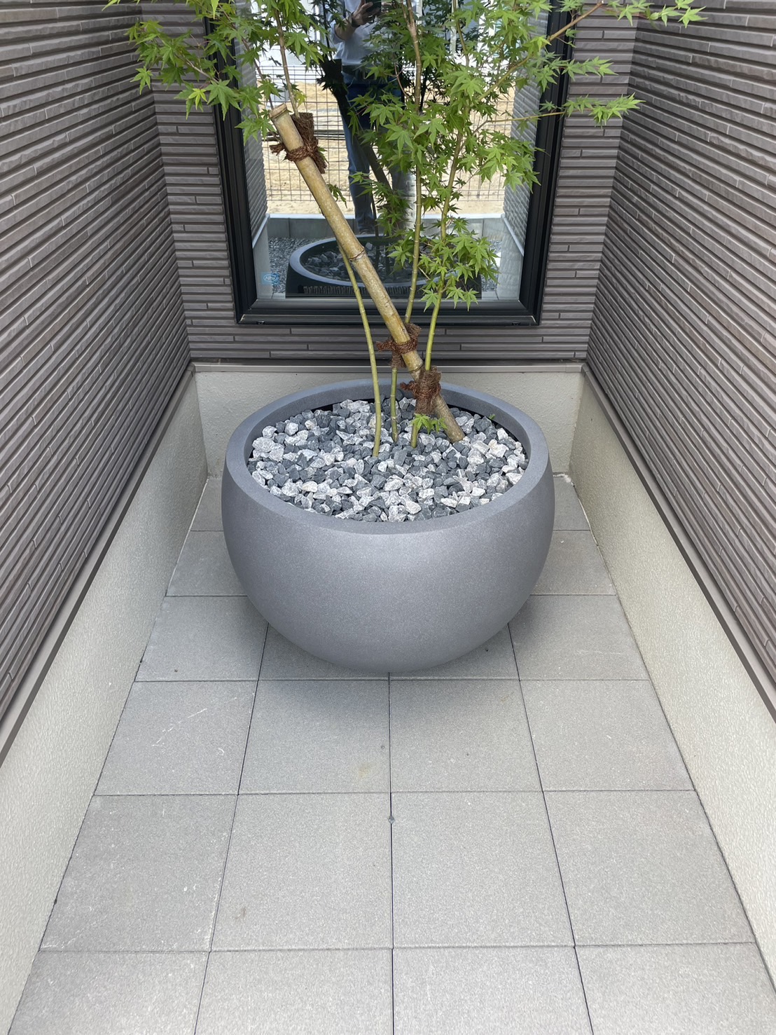 坪庭の紅葉で家の中からも季節感を感じられます。